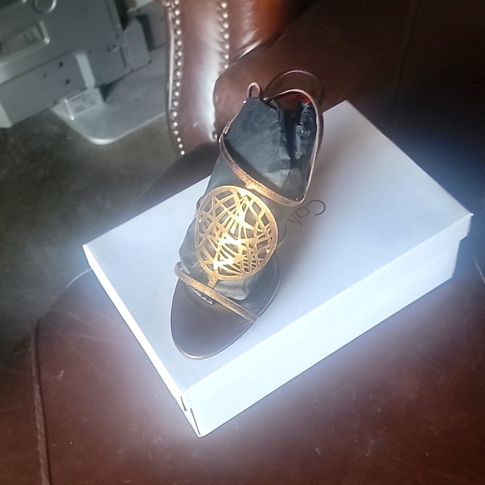 Calvin Klein Bronze Metallic Sandal
